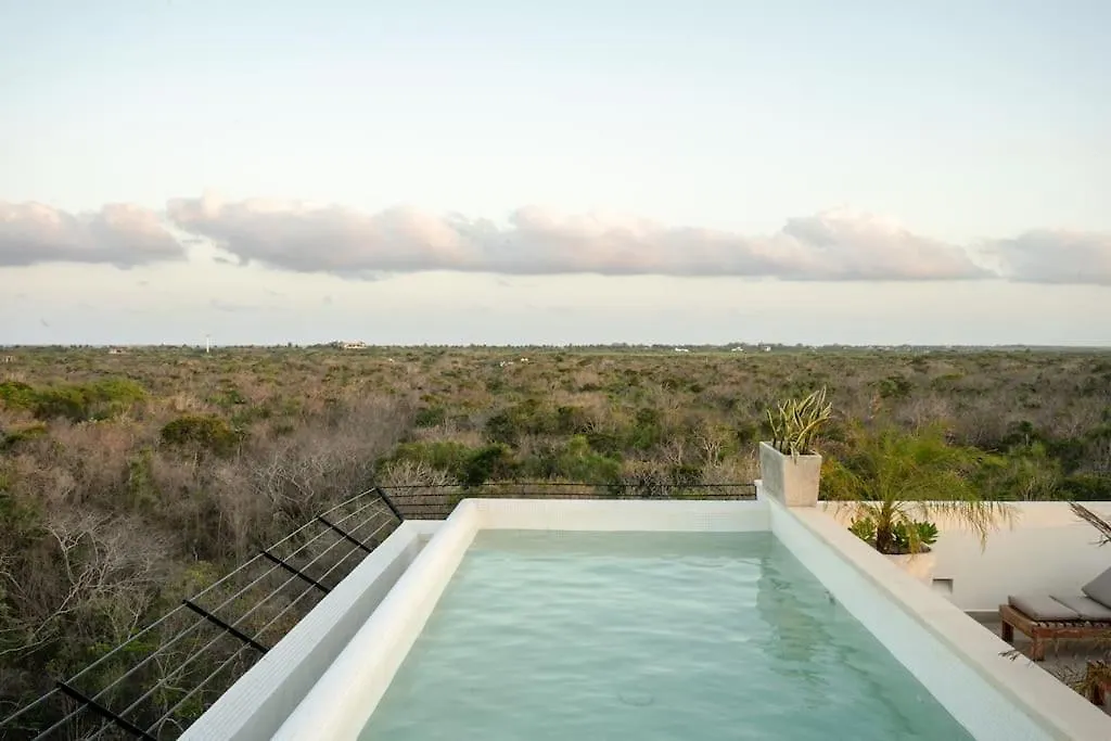 New 2 Bed And Bath - Tulum - Views To The Jungle Apartment