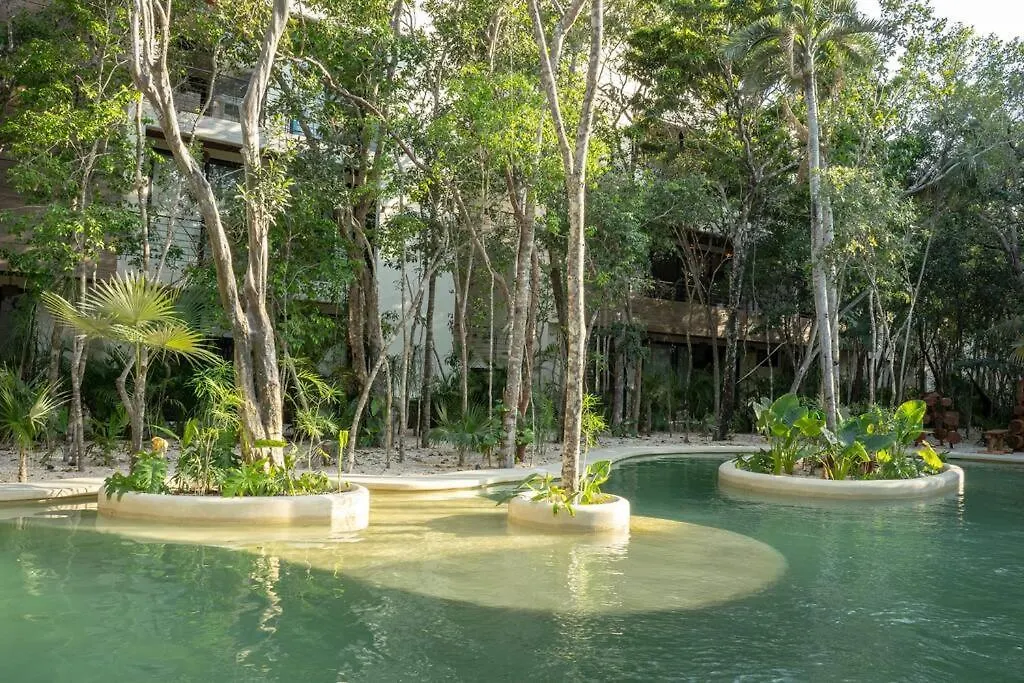 New 2 Bed And Bath - Tulum - Views To The Jungle Apartment 0*,  Mexico