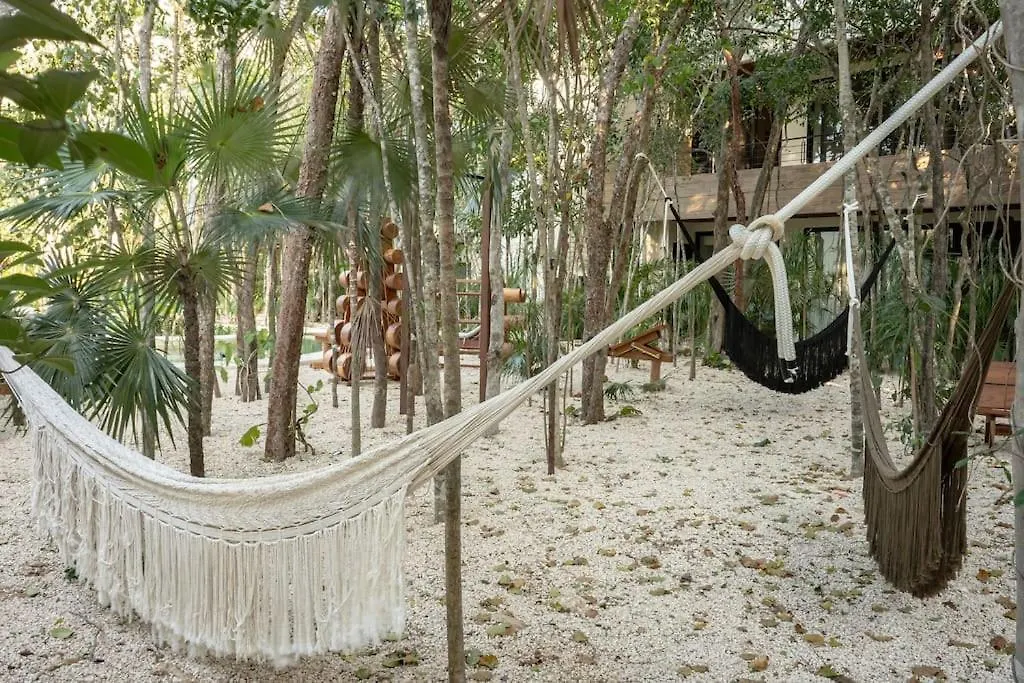 New 2 Bed And Bath - Tulum - Views To The Jungle Apartment Mexico