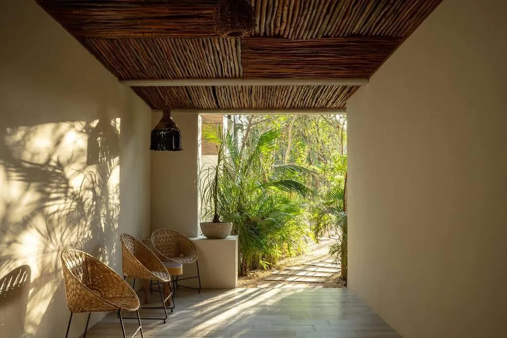 New 2 Bed And Bath - Tulum - Views To The Jungle Apartment