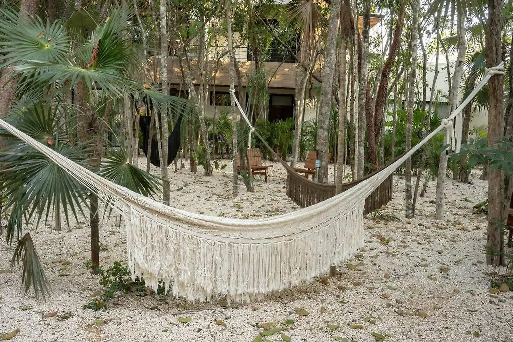 New 2 Bed And Bath - Tulum - Views To The Jungle Apartment