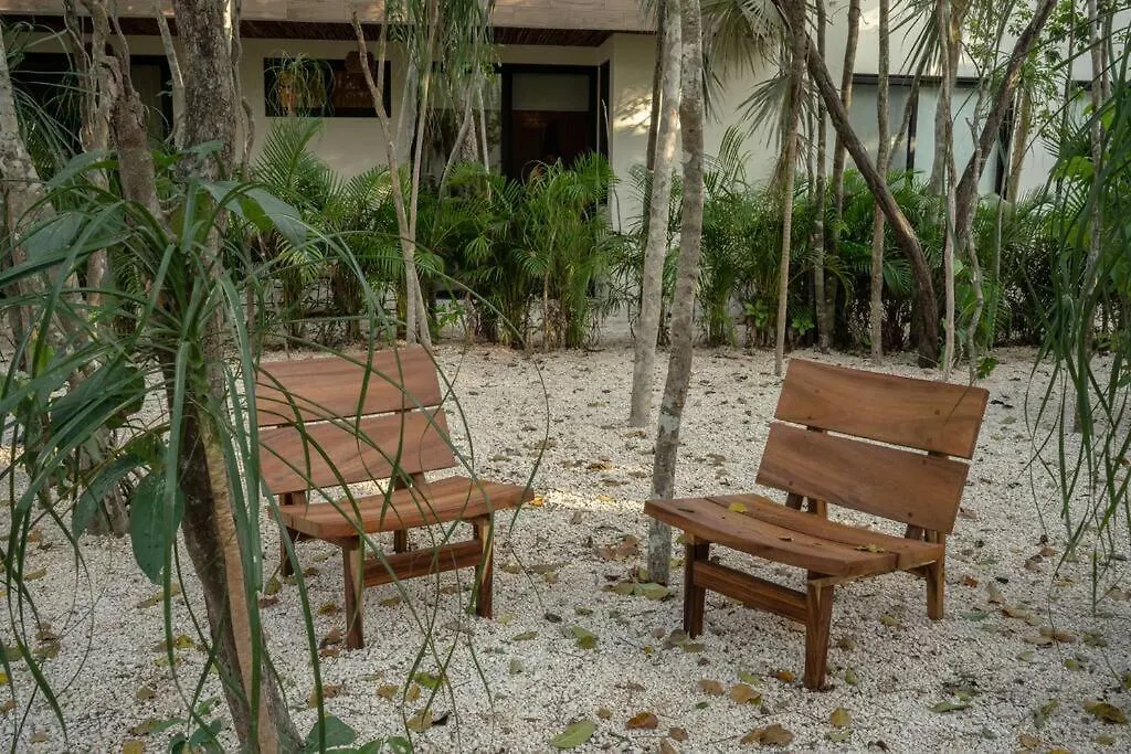 New 2 Bed And Bath - Tulum - Views To The Jungle Apartment