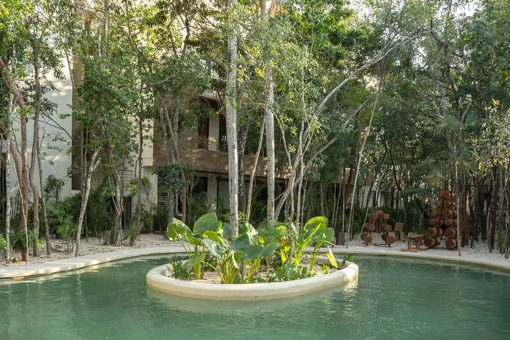 New 2 Bed And Bath - Tulum - Views To The Jungle Apartment