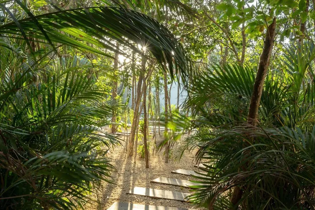 New 2 Bed And Bath - Tulum - Views To The Jungle Apartment Mexico